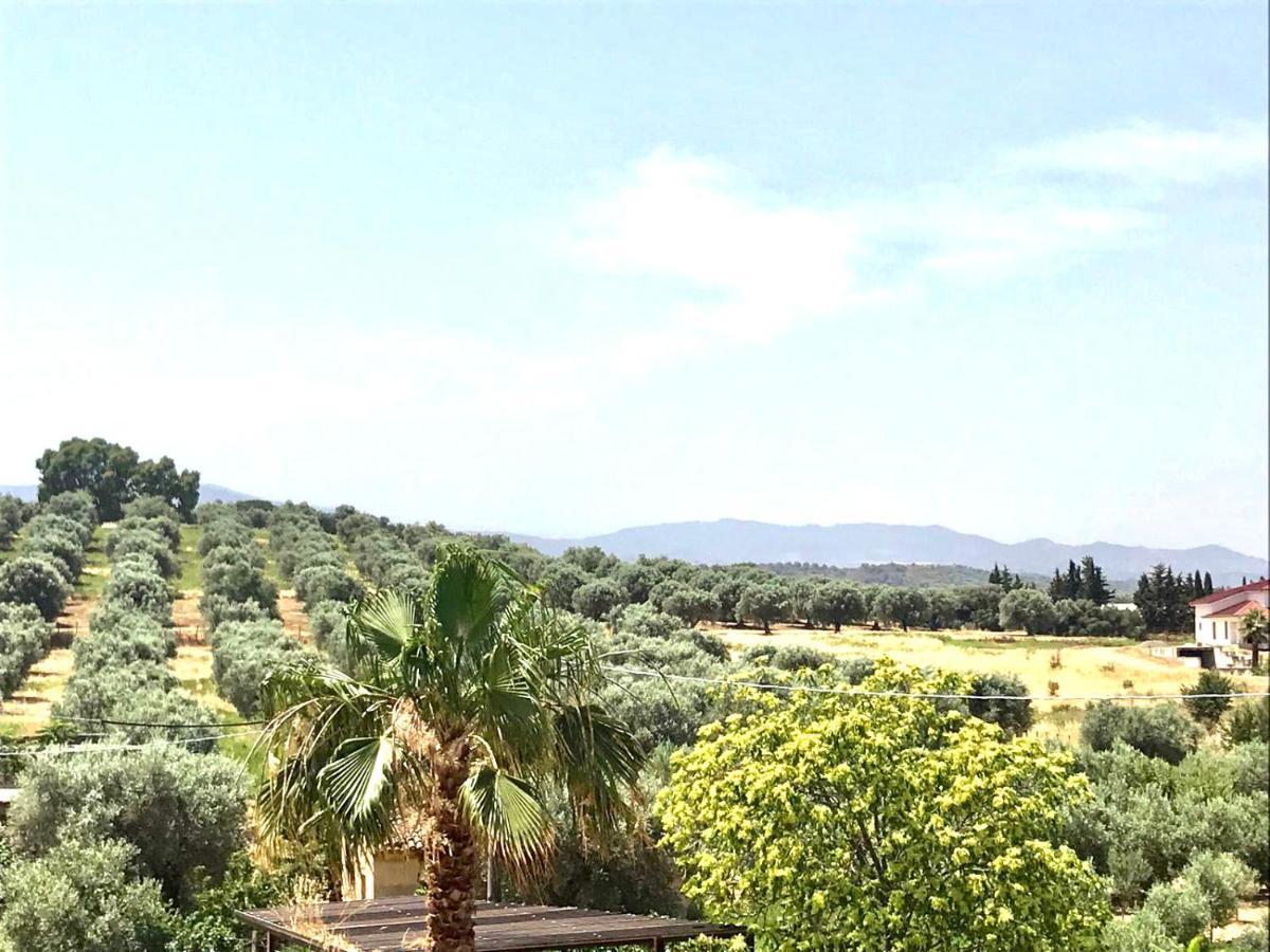 קוריליאנו קלאברו Casa Vacanze E Fitta Camere San Nico מראה חיצוני תמונה